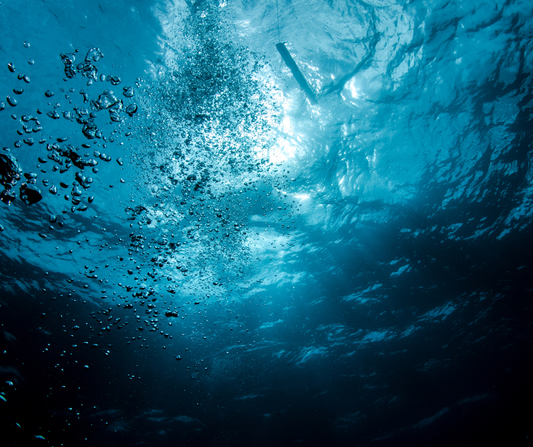 Why The Sea Has Never Let Me Go | Coastal Art by Sam Taylor